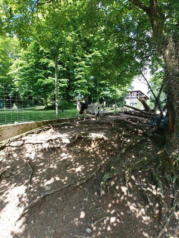 Guest House Sterk Nova Gorica Bagian luar foto
